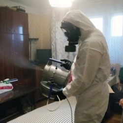 Дезинфекция от клопов в Гдове