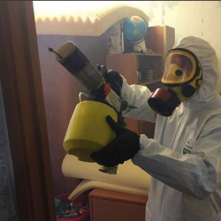 Уничтожение клопов в квартире. Гдов